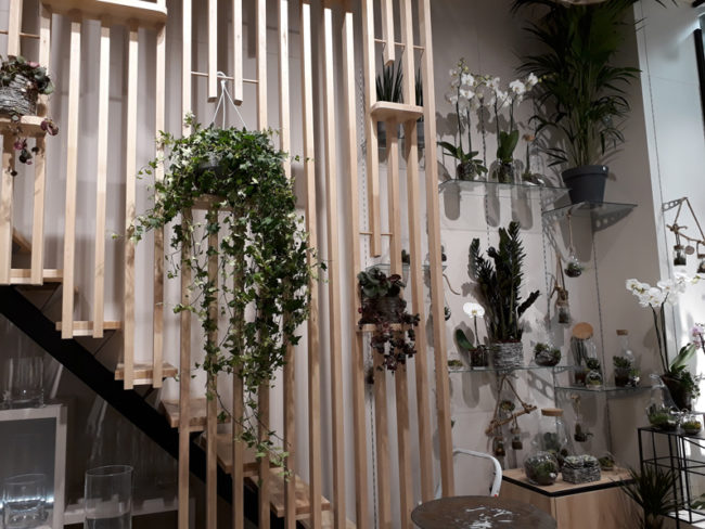 Agencement d'un commerce de fleurs