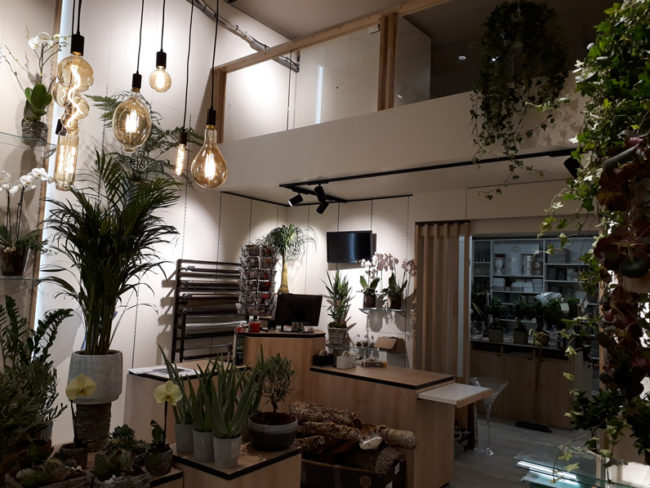 Agencement d'un commerce de fleurs